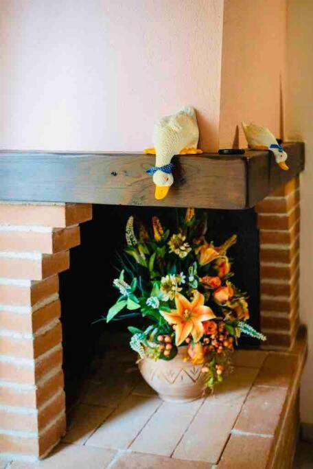 Apartmán A Casa Di Claudia Saturnia Exteriér fotografie